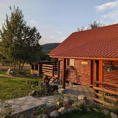 Cabana Nyiko Cu Ciubar Lupeni  Exterior foto