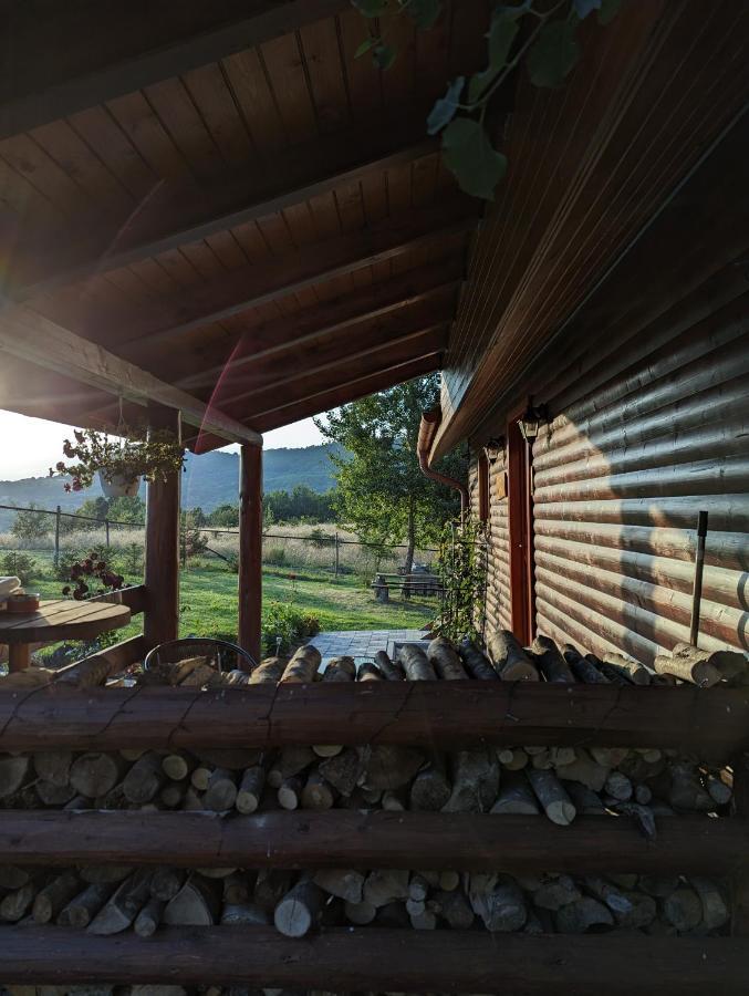 Cabana Nyiko Cu Ciubar Lupeni  Exterior foto