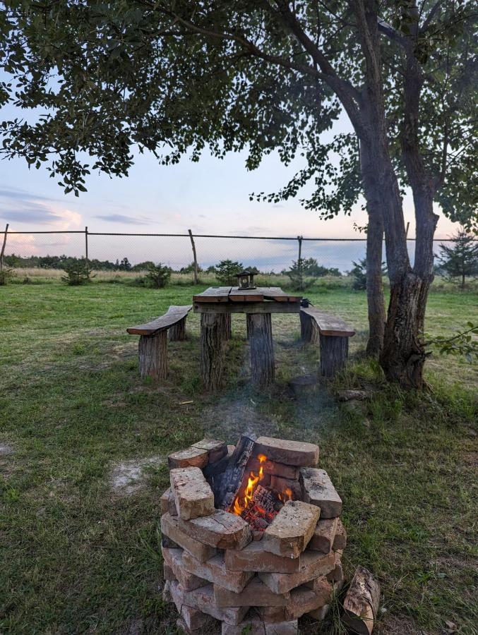 Cabana Nyiko Cu Ciubar Lupeni  Exterior foto