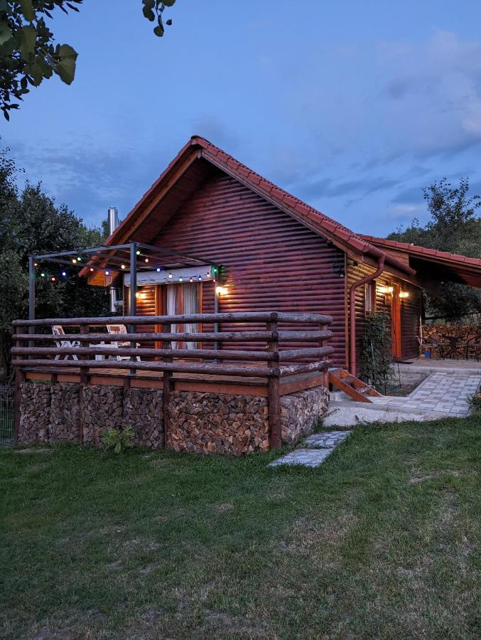 Cabana Nyiko Cu Ciubar Lupeni  Exterior foto